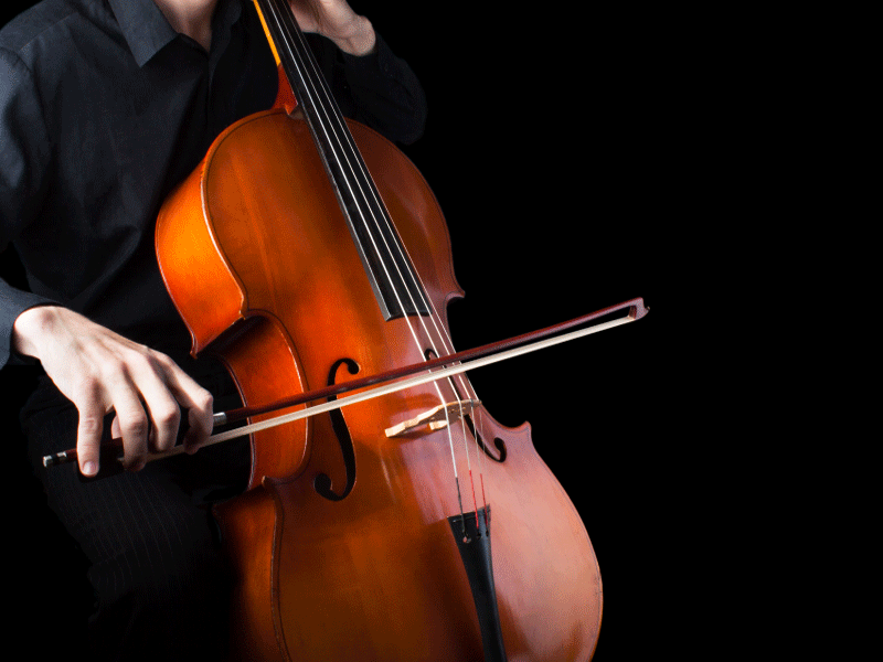 cello lessons honolulu