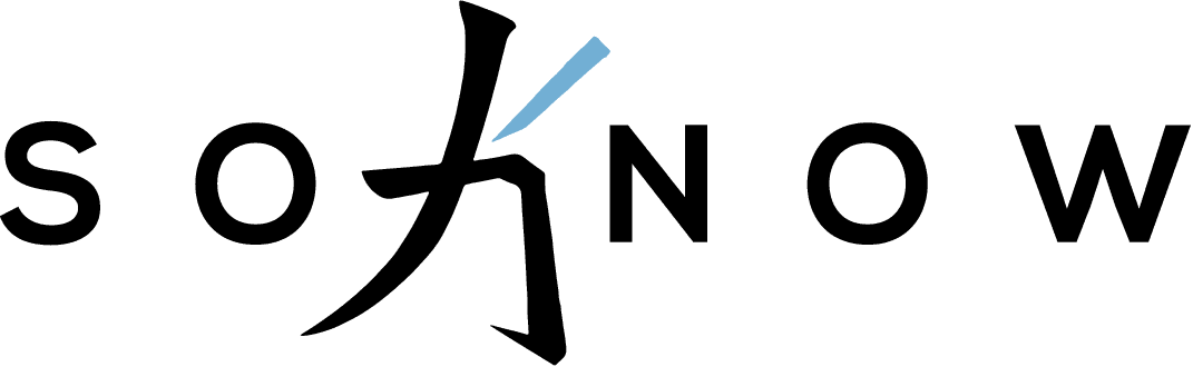 Soknow logo