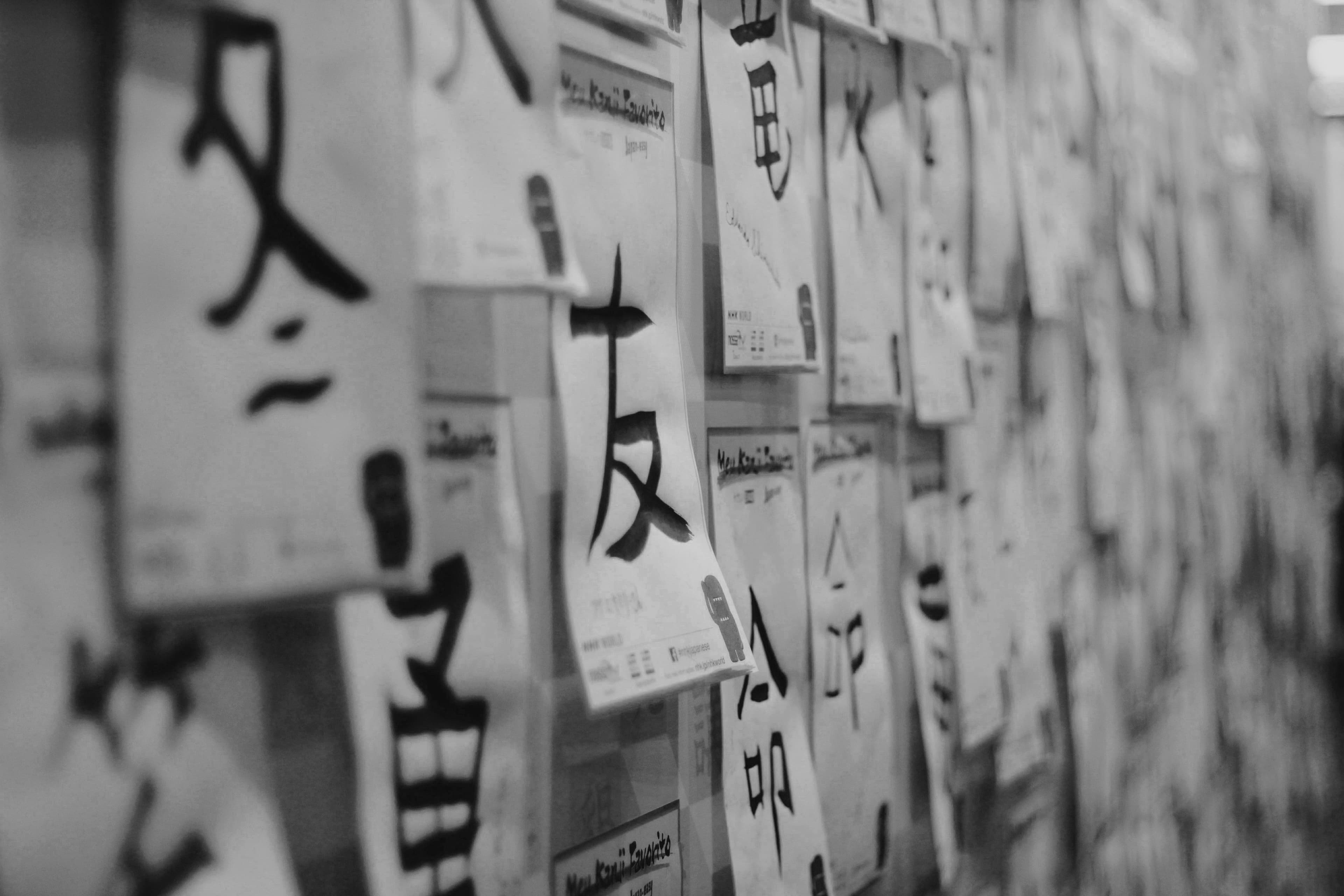 Learn Japanese here in Honolulu